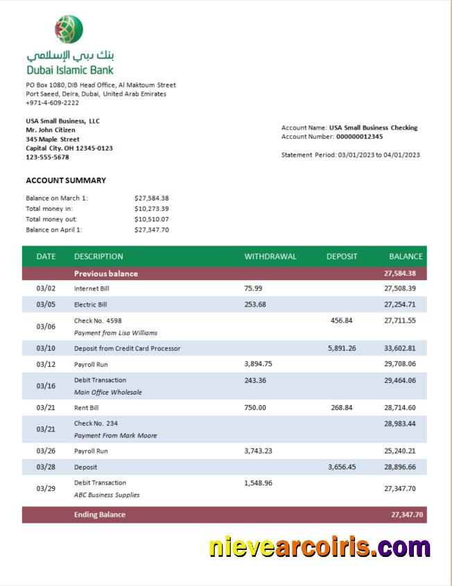 Dubai Islamic Bank enterprise statement
